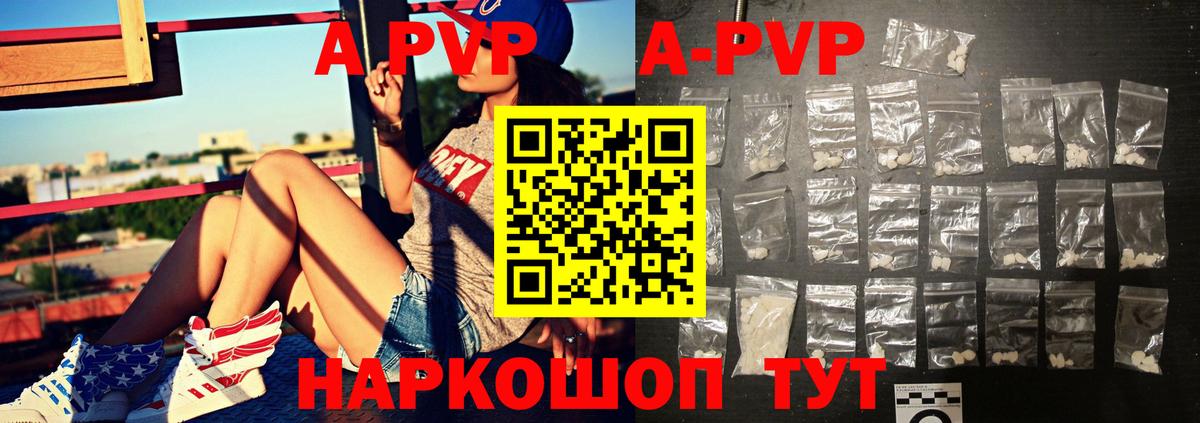 Alfa_PVP СК КРИС Боровичи