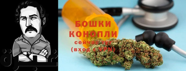 твердый Абаза