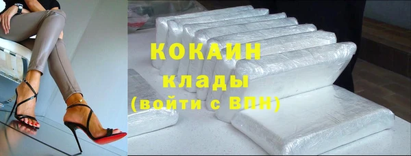 мет Алексин