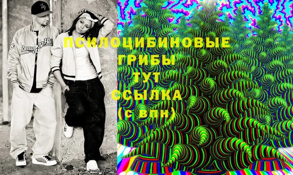 мет Алексин