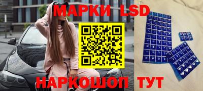 ALPHA PVP Ярославль