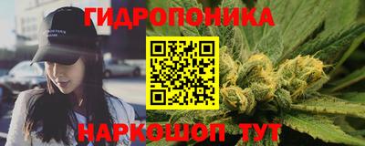 ALPHA PVP Ярославль