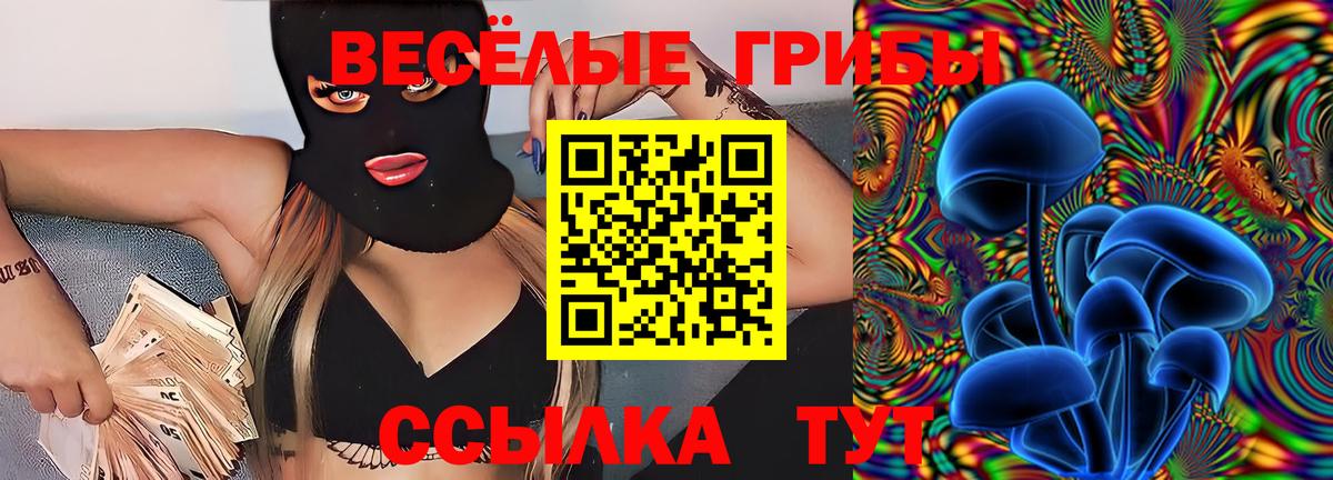 Боровичи  Псилоцибиновые грибы GOLDEN TEACHER  Псилоцибиновые грибы Psilocybine cubensis  Вход с VPN 